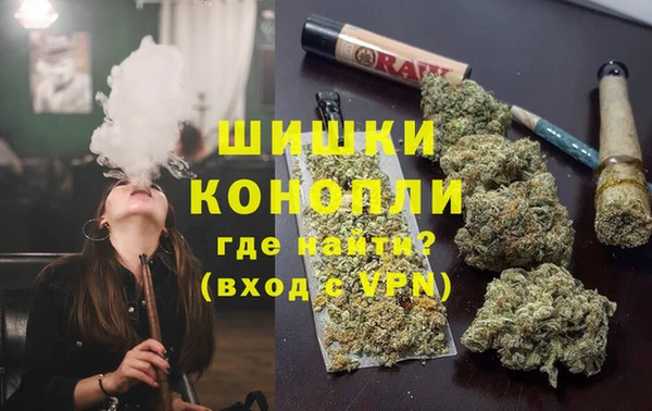 ГАЛЛЮЦИНОГЕННЫЕ ГРИБЫ Белокуриха