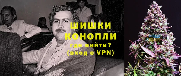 молекула духа Пересвет