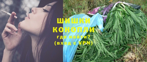ГАЛЛЮЦИНОГЕННЫЕ ГРИБЫ Белокуриха